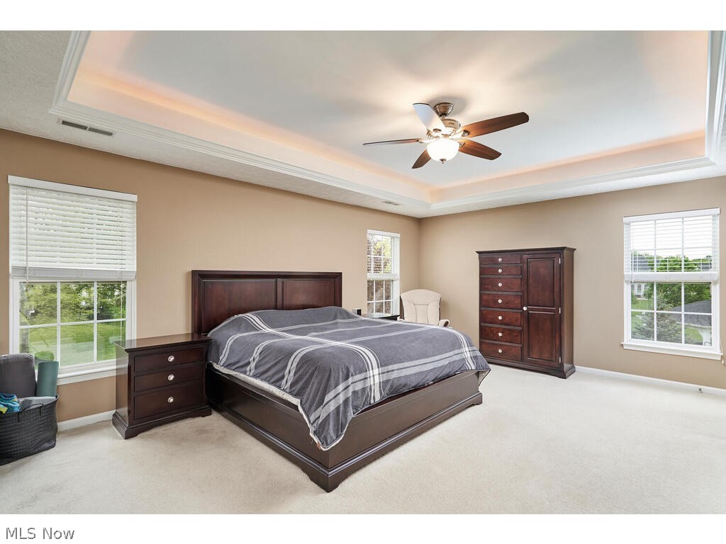 5172 Shillings Way Akron, OH 44321 - Photo 13 of 26 Bedroom with a raised ceiling, ceiling fan, and light carpet