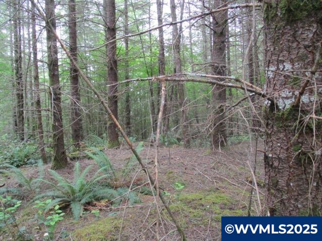 0 Gruber South Road Estacada, OR 97023 - Photo 19 of 30