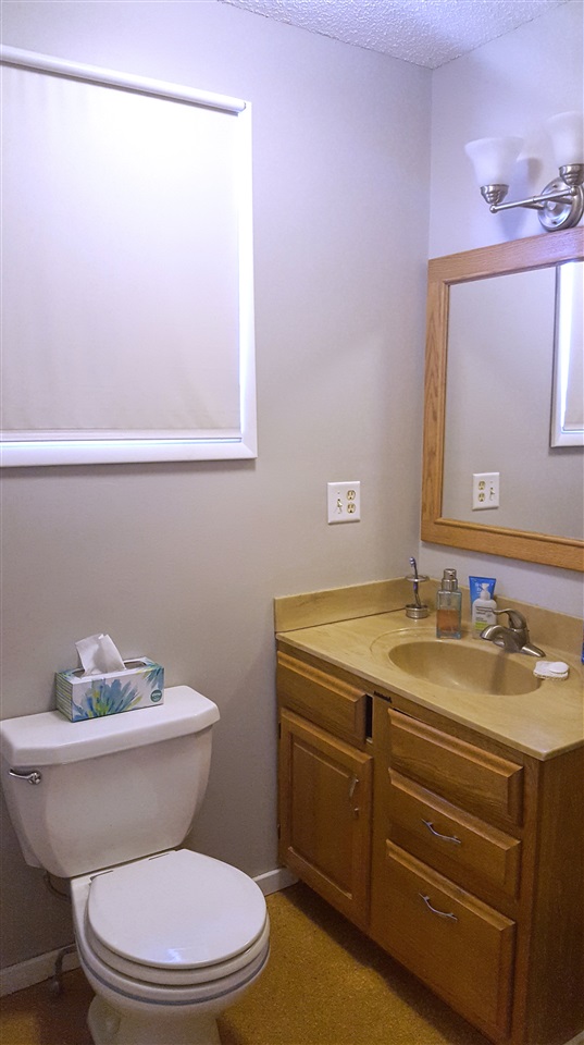 12311 Elms Road Birch Run, MI 48415 - Photo 13 of 36