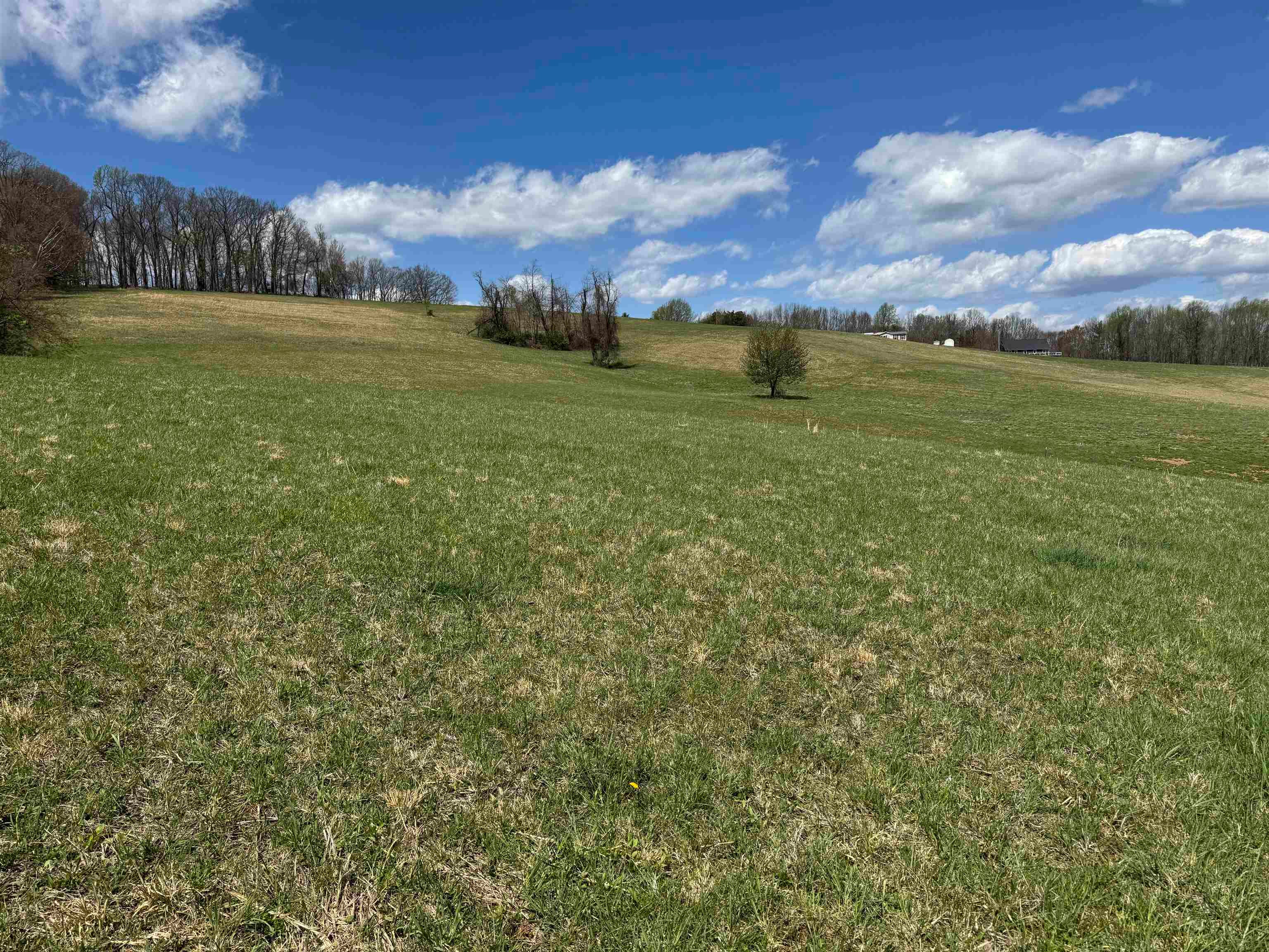2 Canning Factory Road Floyd, VA 24091 - Photo 2 of 3 Gallery Image 2