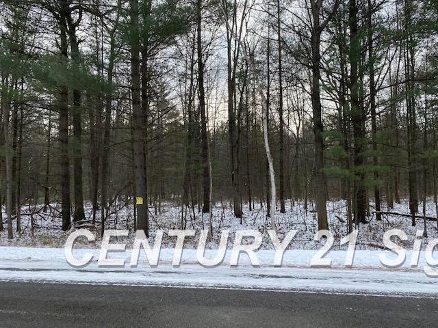 0 West Wackerly Road Sanford, MI 48657 - Photo 18 of 19