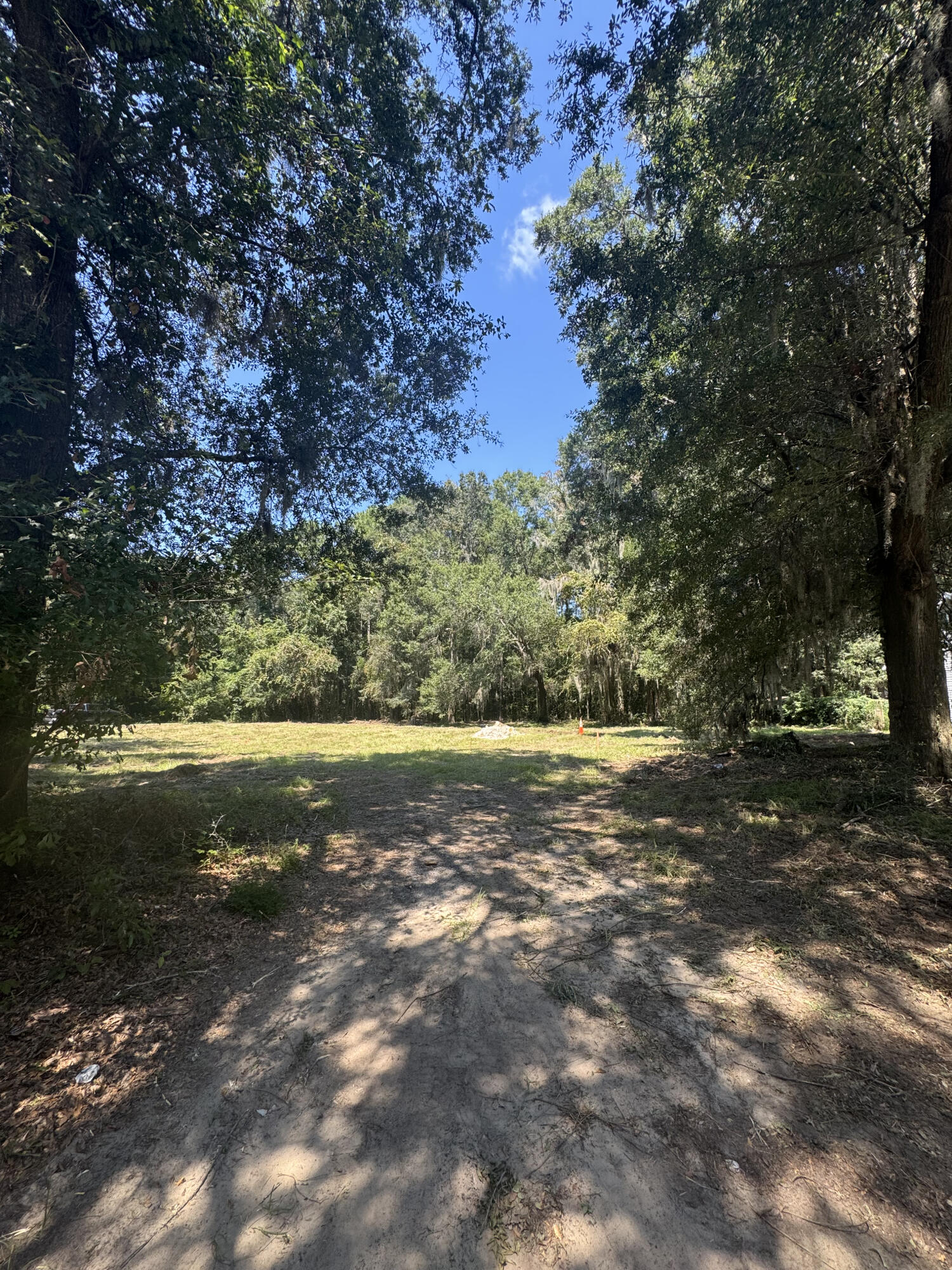 3634 Berryhill Road Johns Island, SC 29455 - Photo 54 of 60 Berryhill homesite 4