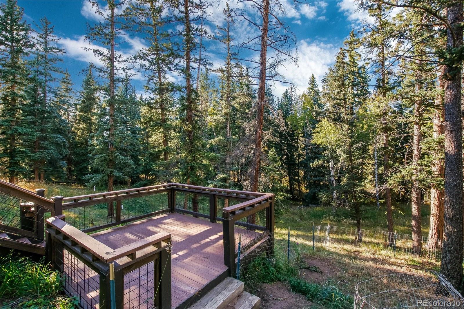 2845 Nova Road Pine, CO 80470 - Photo 36 of 40