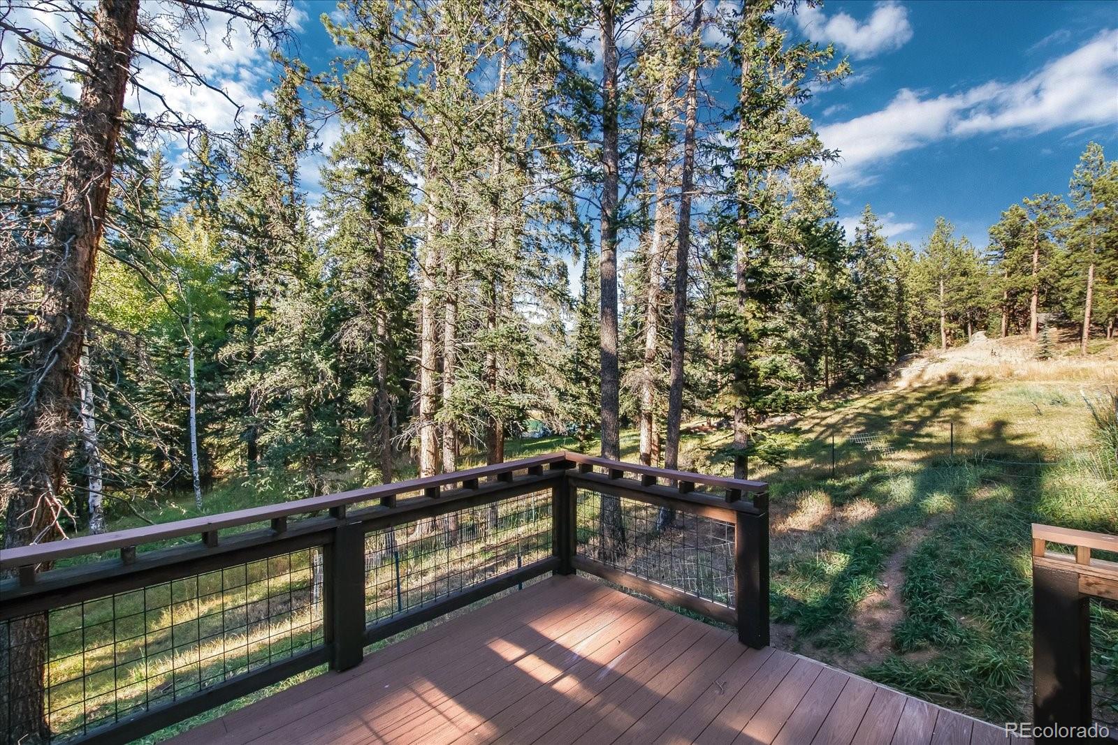 2845 Nova Road Pine, CO 80470 - Photo 37 of 40