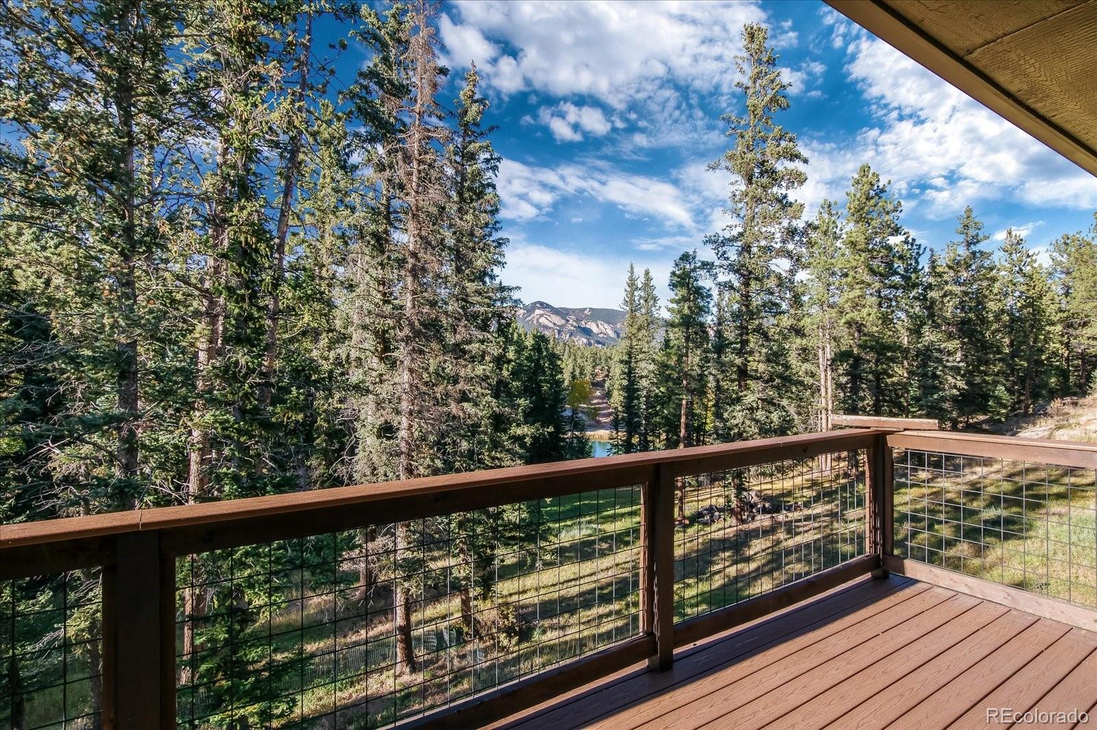 2845 Nova Road Pine, CO 80470 - Photo 38 of 40