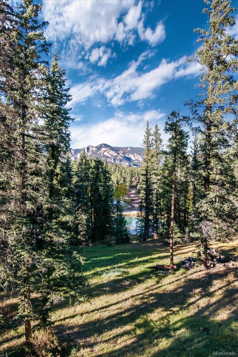 2845 Nova Road Pine, CO 80470 - Photo 40 of 40