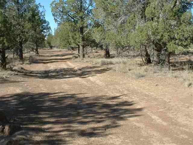 0 Lazy Ranch Macdoel, CA 96058 - Photo 1 of 4 Primary Photo