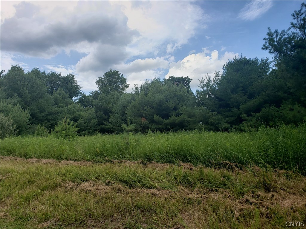 0 Oxbow Road Canastota, NY 13032 - Photo 1 of 3 Gallery Image 1