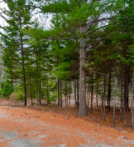 $739,000 | 100 Bass Harbor Road, Southwest Harbor, ME 04679