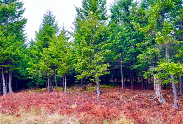 $764,500 | 100 Bass Harbor Road, Southwest Harbor, ME 04679