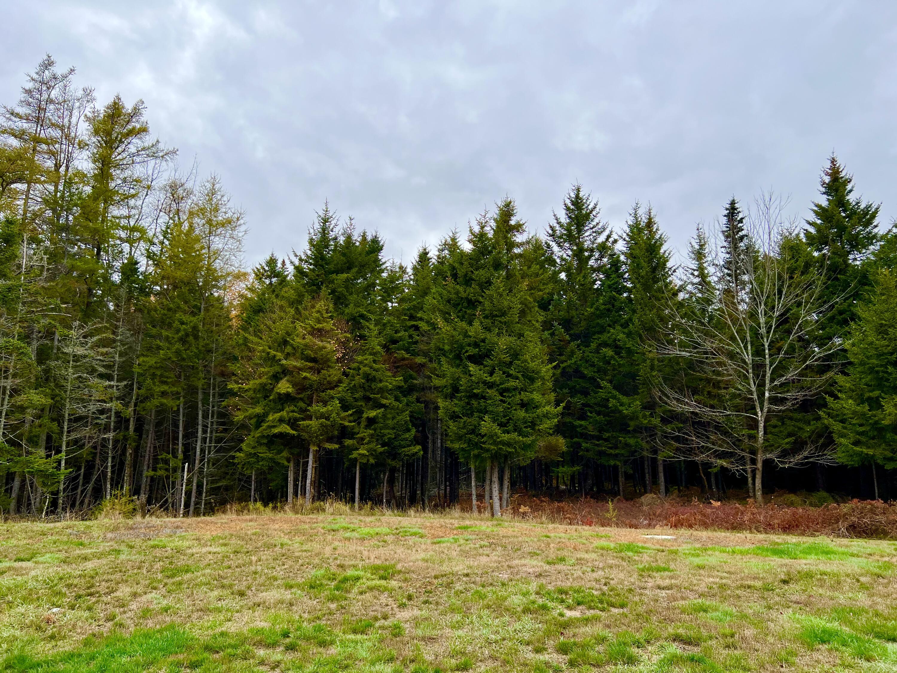 100 Bass Harbor Road Southwest Harbor, ME 04679 - Photo 50 of 52 Land