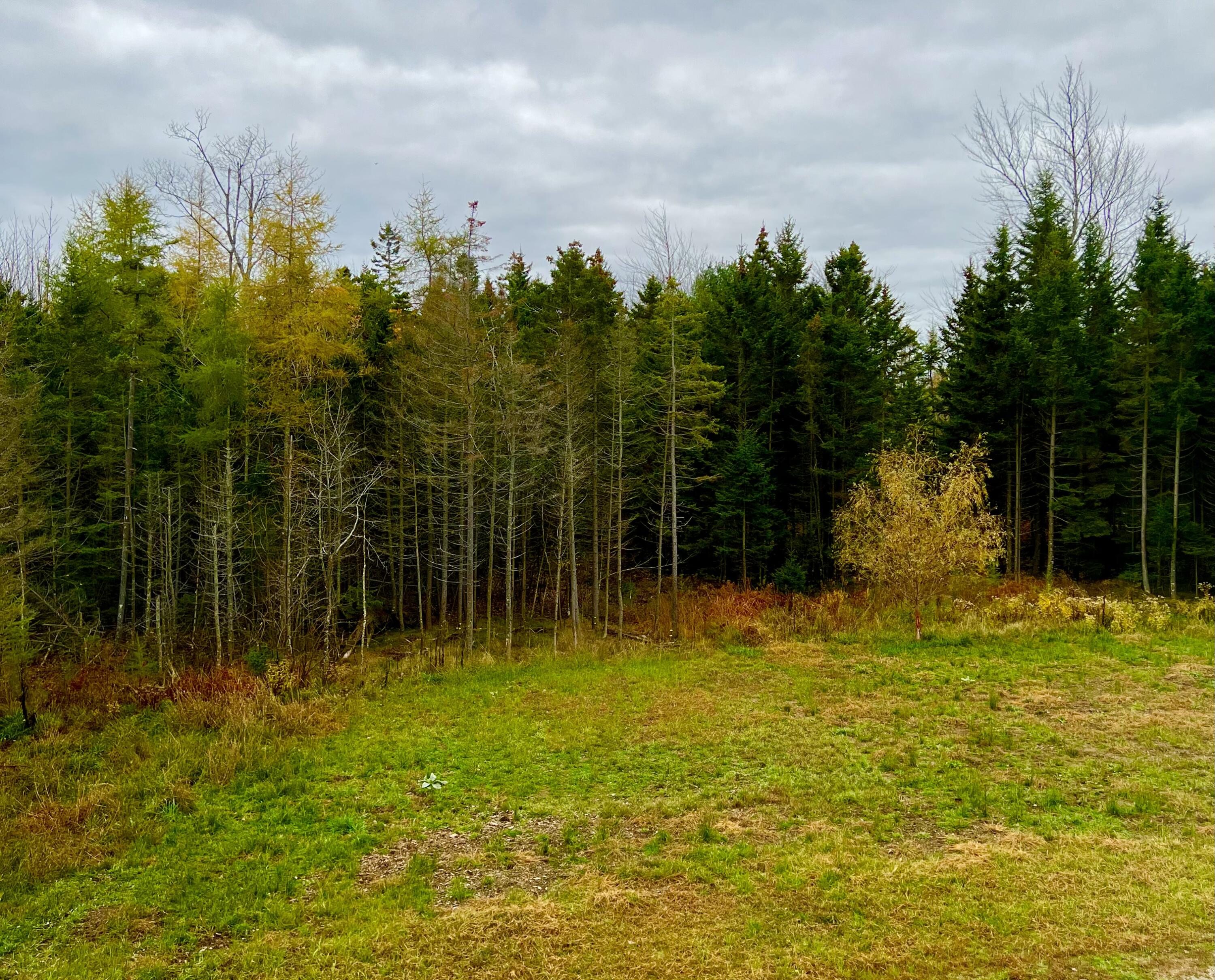 100 Bass Harbor Road Southwest Harbor, ME 04679 - Photo 51 of 52 Land