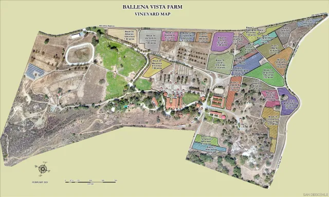 a view of yard from deck having patio