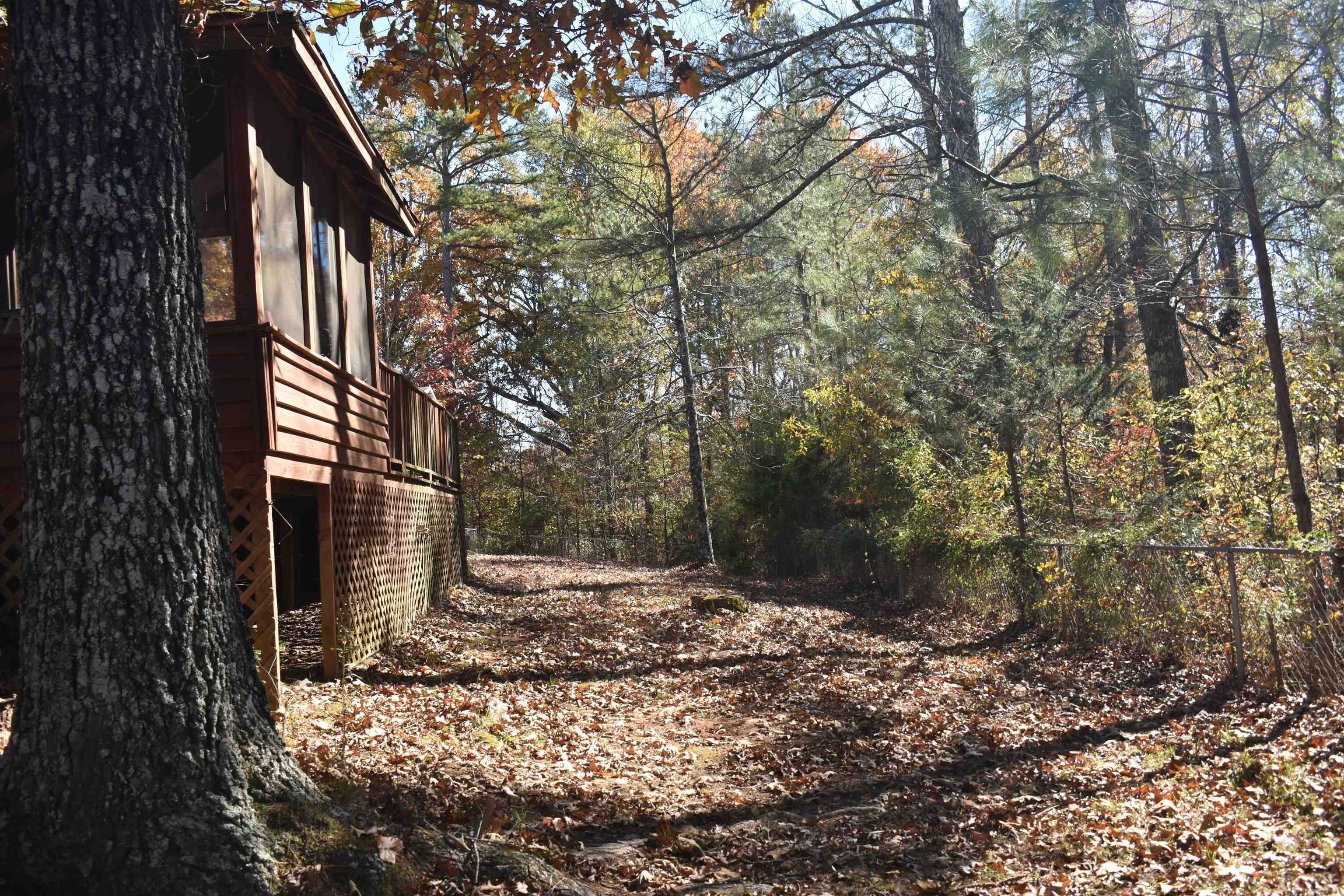 115 Falcon Street Selmer, TN 38375 - Photo 23 of 29 a backyard of a house