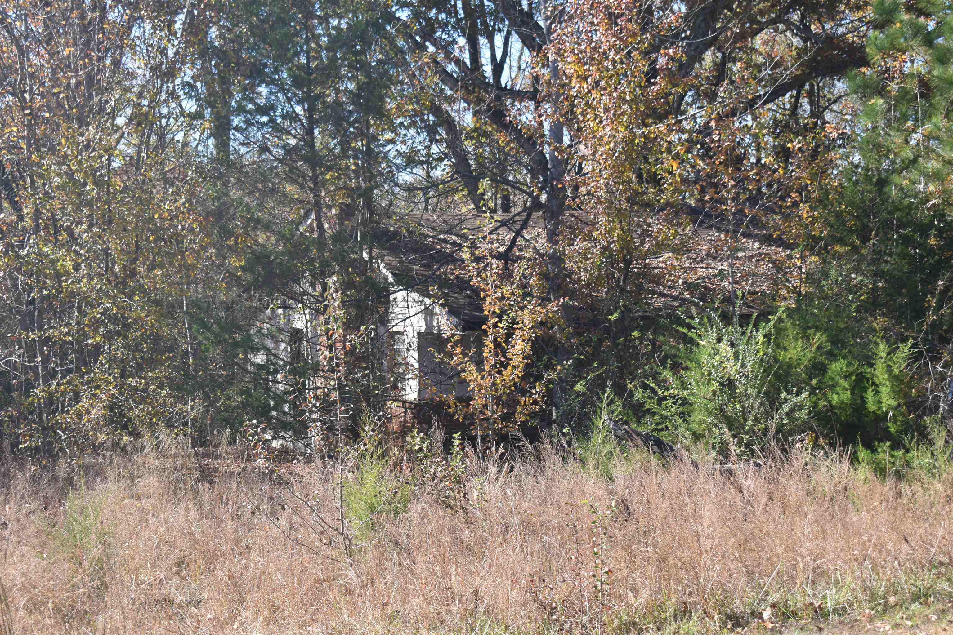115 Falcon Street Selmer, TN 38375 - Photo 25 of 29 a view of a yard