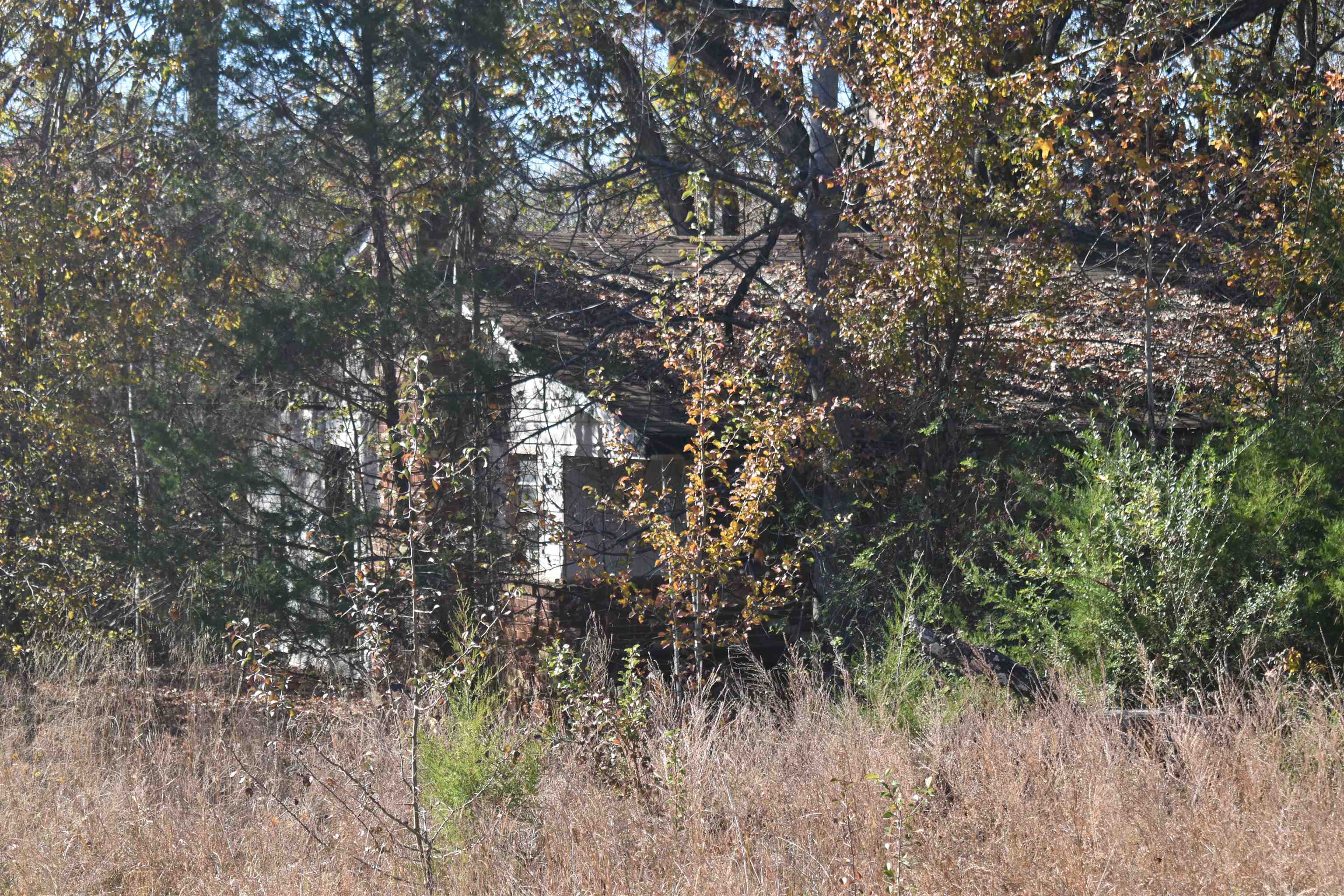 115 Falcon Street Selmer, TN 38375 - Photo 26 of 29