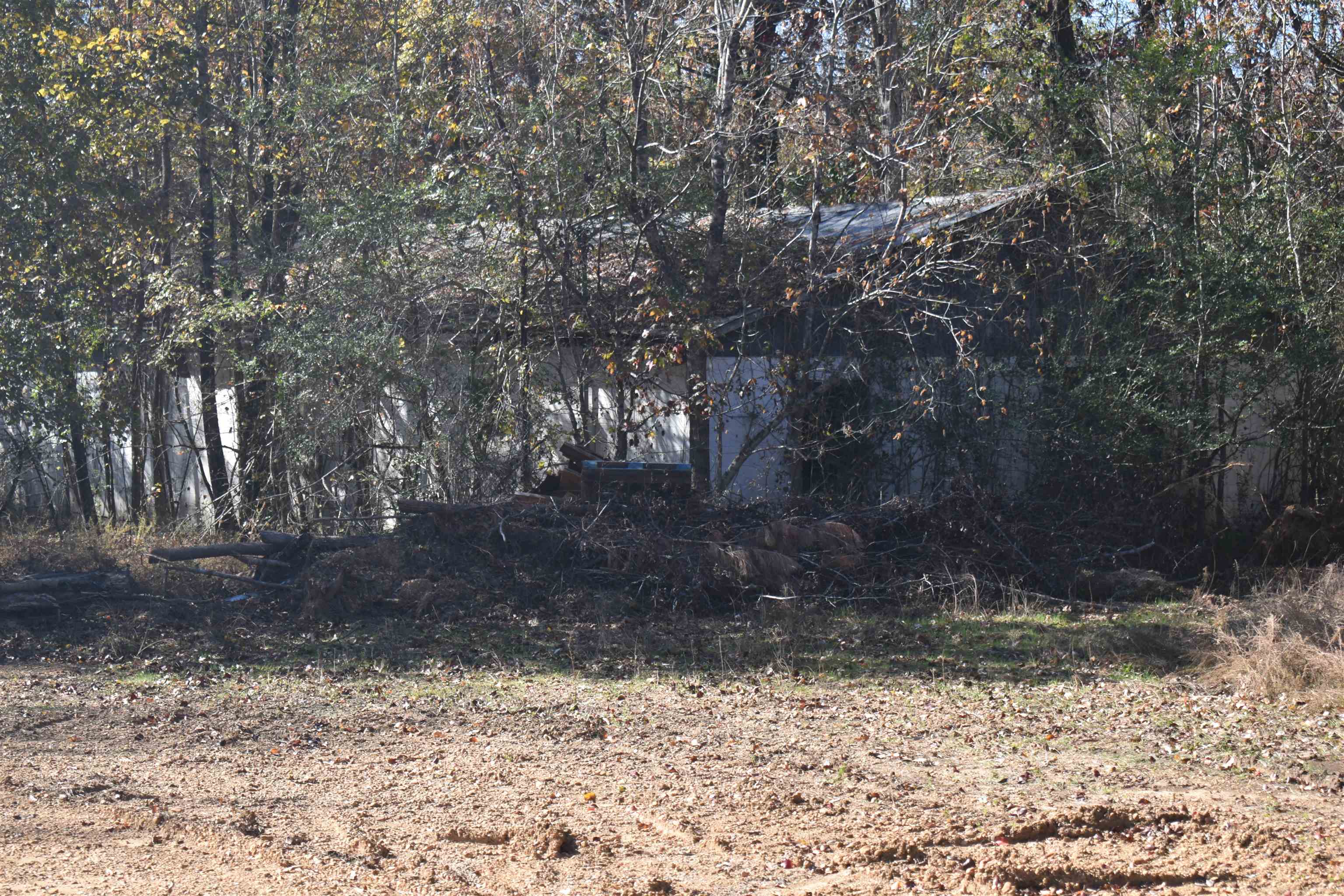 115 Falcon Street Selmer, TN 38375 - Photo 27 of 29 a view of a yard with a tree