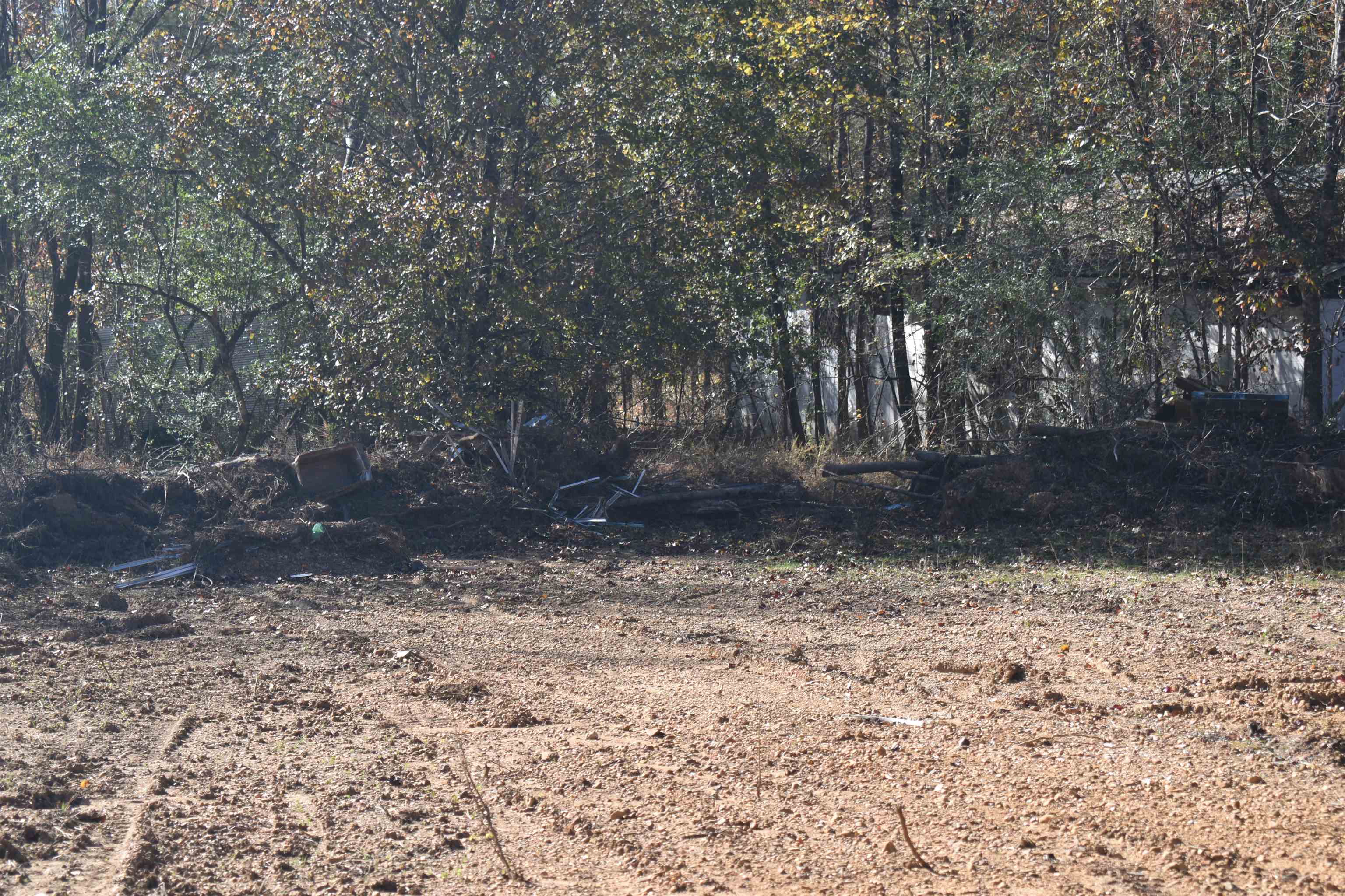 115 Falcon Street Selmer, TN 38375 - Photo 28 of 29 a view of a yard with a tree