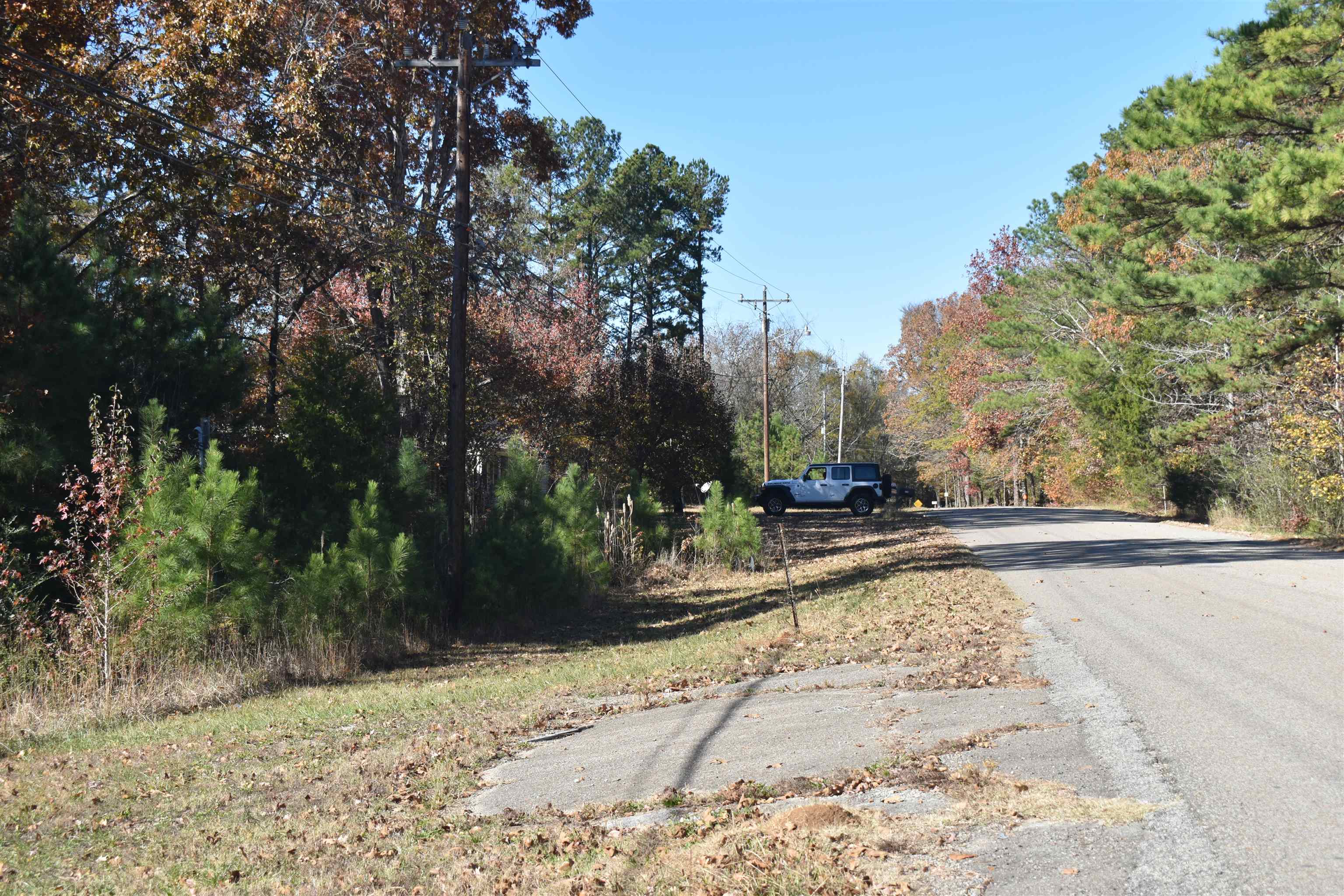 115 Falcon Street Selmer, TN 38375 - Photo 29 of 29 a view of a swimming pool with a patio