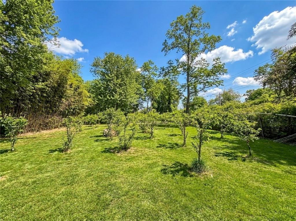 636 Holmdel Road Hazlet, NJ 07730 - Photo 45 of 47 a backyard of a house with lots of green space