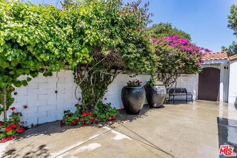 a view of a garden with flowers and potted plants