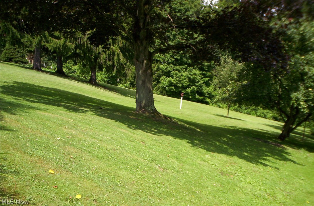 100 Bradys Ridge Road Wellsburg, WV 26070 - Photo 16 of 18 Gallery Image 16