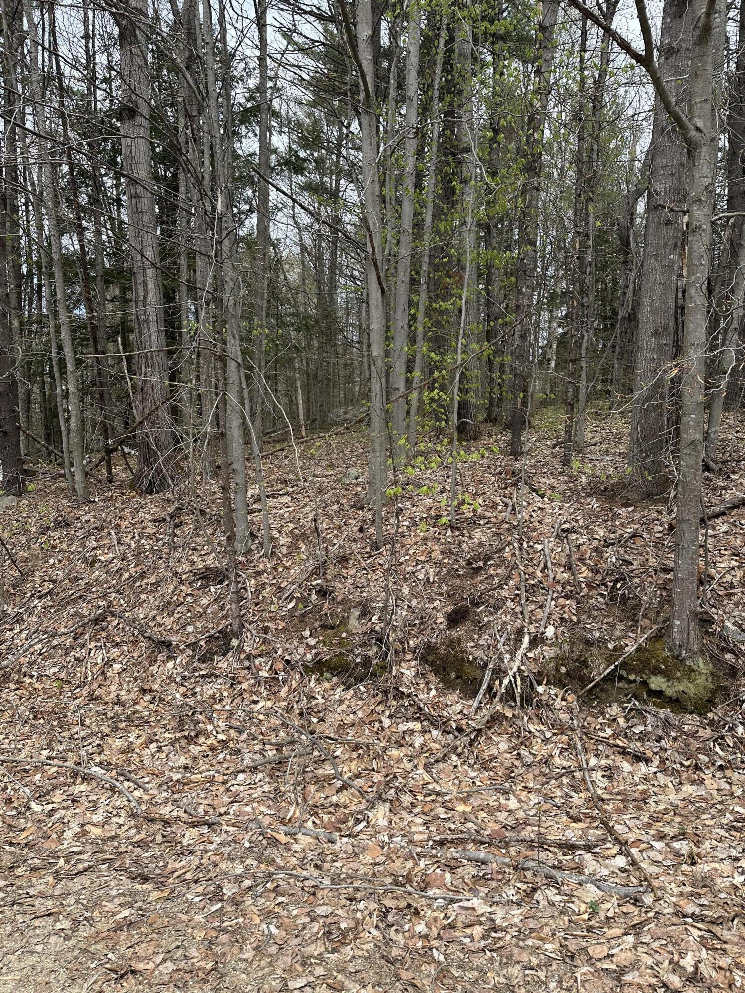 Lot #5 Moose Hill Road Livermore Falls, ME 04254 - Photo 1 of 2 IMG_4284