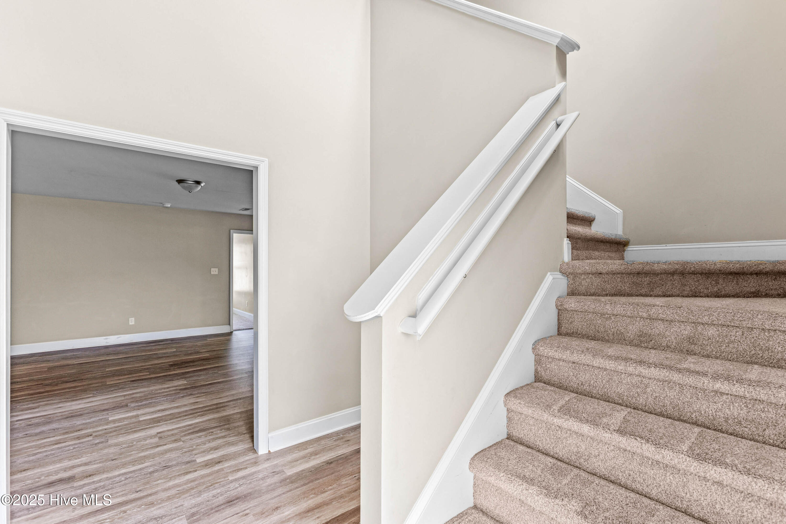 320 Hawks Bluff Drive New Bern, NC 28560 - Photo 4 of 30 04 (16)