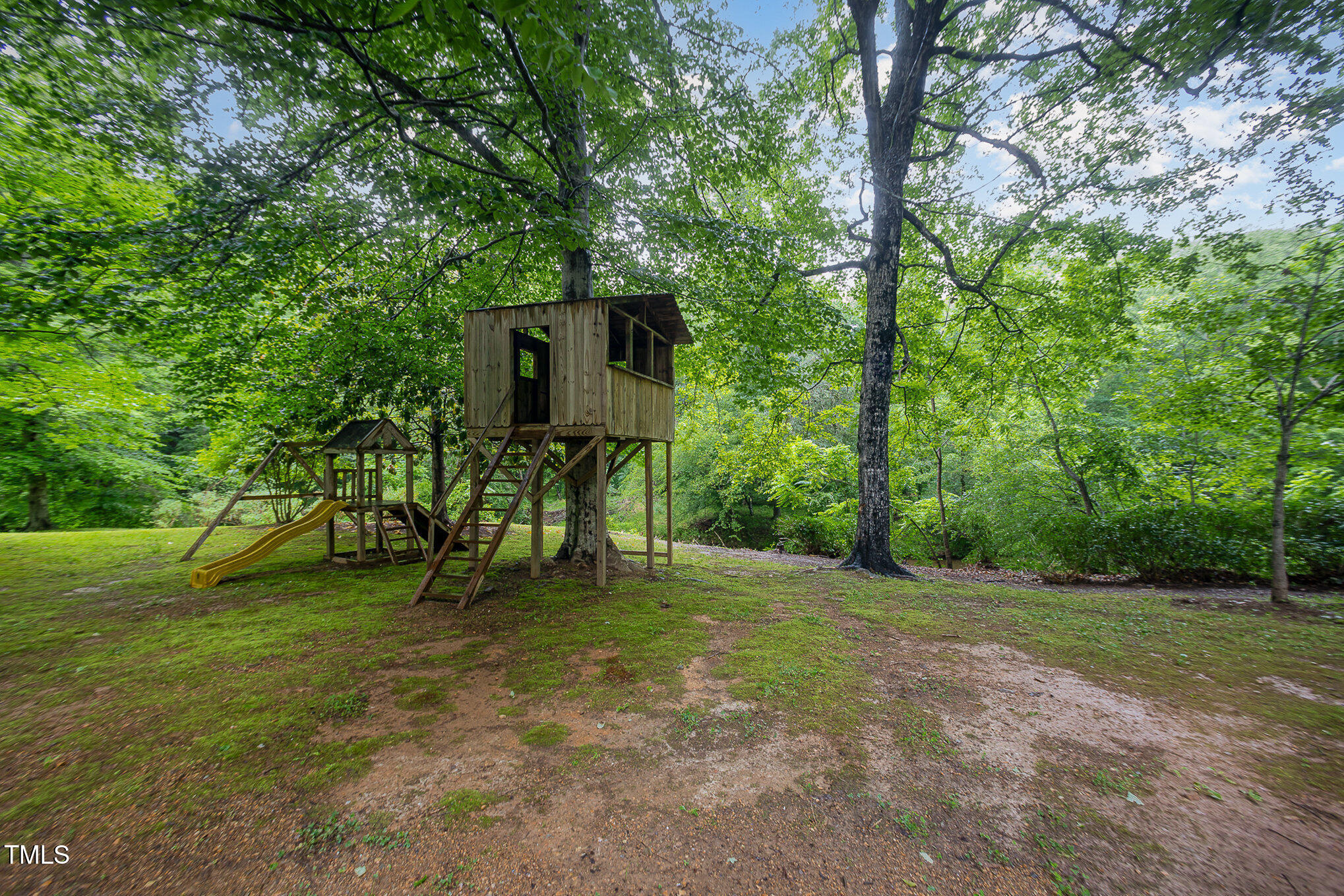 4777 Helena Moriah Road Rougemont, NC 27572 - Photo 28 of 41 yard