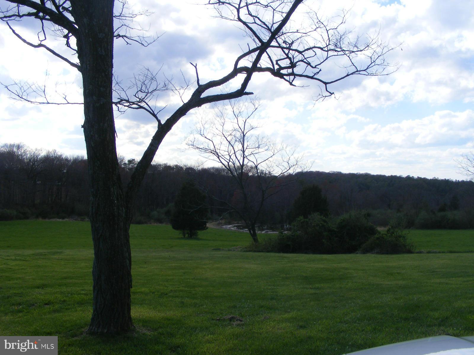 203 Ridge Road Rising Sun, MD 21911 - Photo 6 of 30 Field & Pond