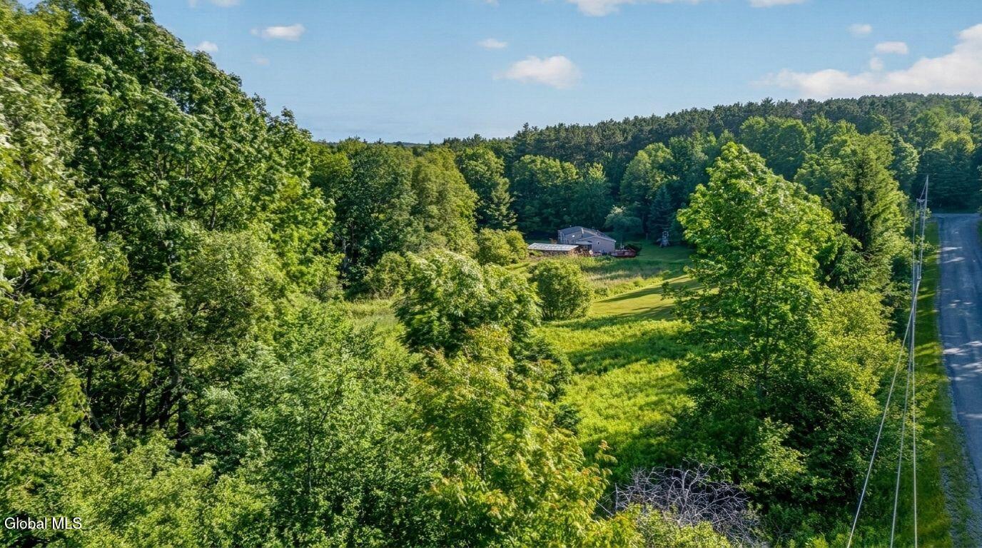 171 Rossman Hill Road Summit, NY 12175 - Photo 53 of 54 171-Rossman-Hill-Rd-Summit-Exterior (20)
