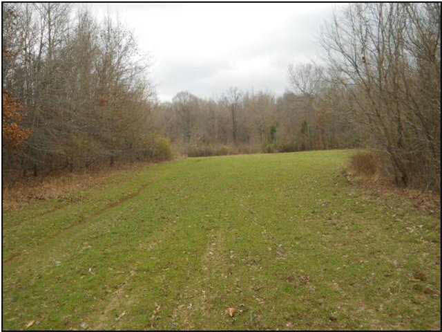 0 Pearce Road Yazoo City, MS 39039 - Photo 1 of 1 Photo 1