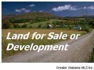 35 County Road Bremen, AL 35033 - Photo 1 of 1