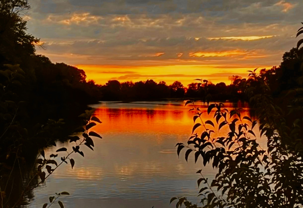 2636 South Homer Lake Road Homer, IL 61849 - Photo 163 of 176