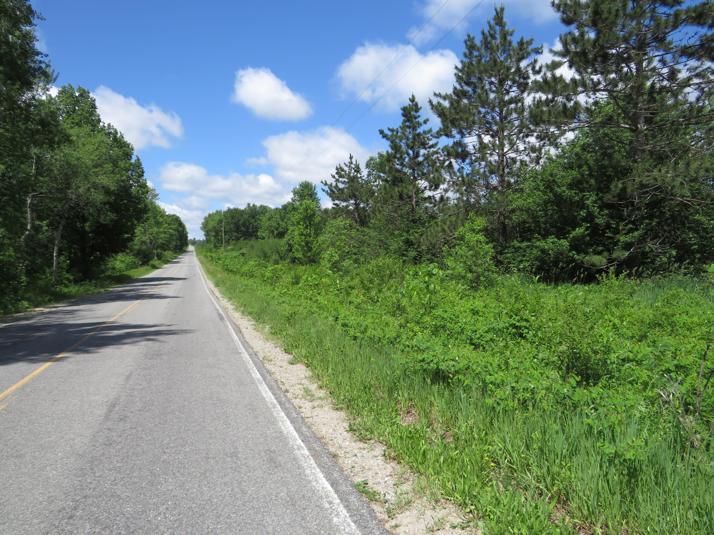 17 17 Mile Road Marion, MI 49665 - Photo 36 of 54 IMG_6793