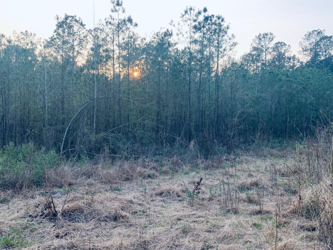 23180 Lonnie Hadley Road Perdido, AL 36562 - Photo 4 of 11