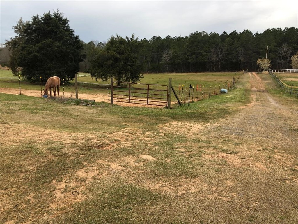 543 Audrey Hardy Road Iva, SC 29655 - Photo 6 of 19