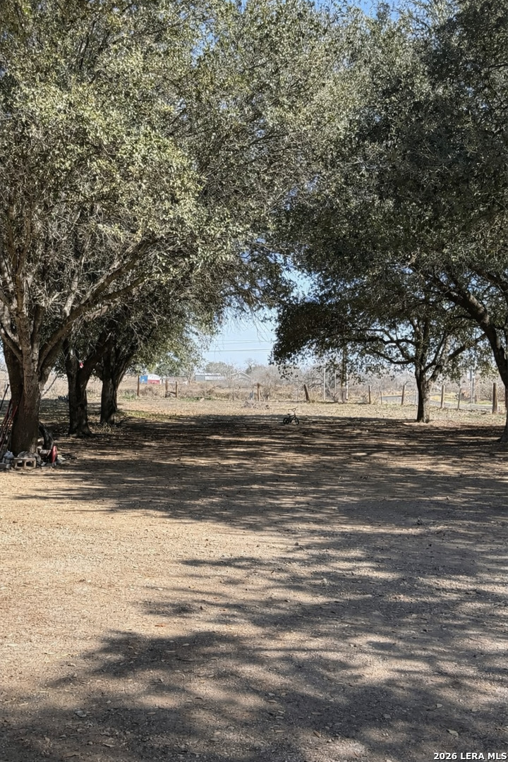 11865 Briggs Road Atascosa, TX 78002 - Photo 12 of 12