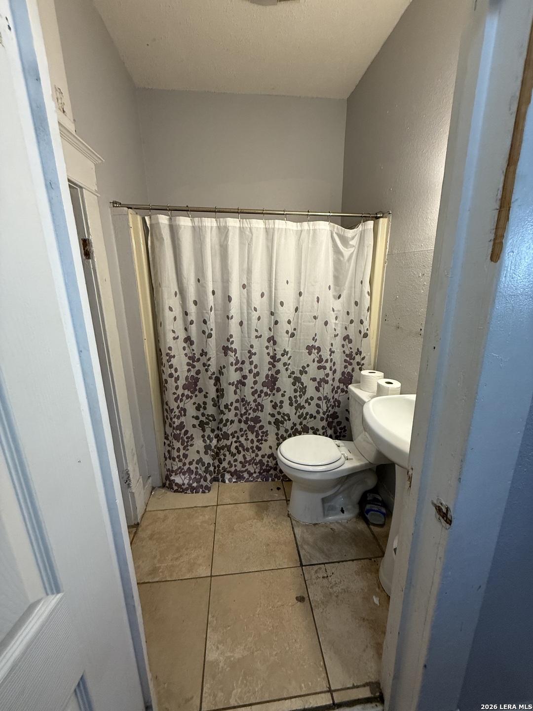 11865 Briggs Road Atascosa, TX 78002 - Photo 6 of 12