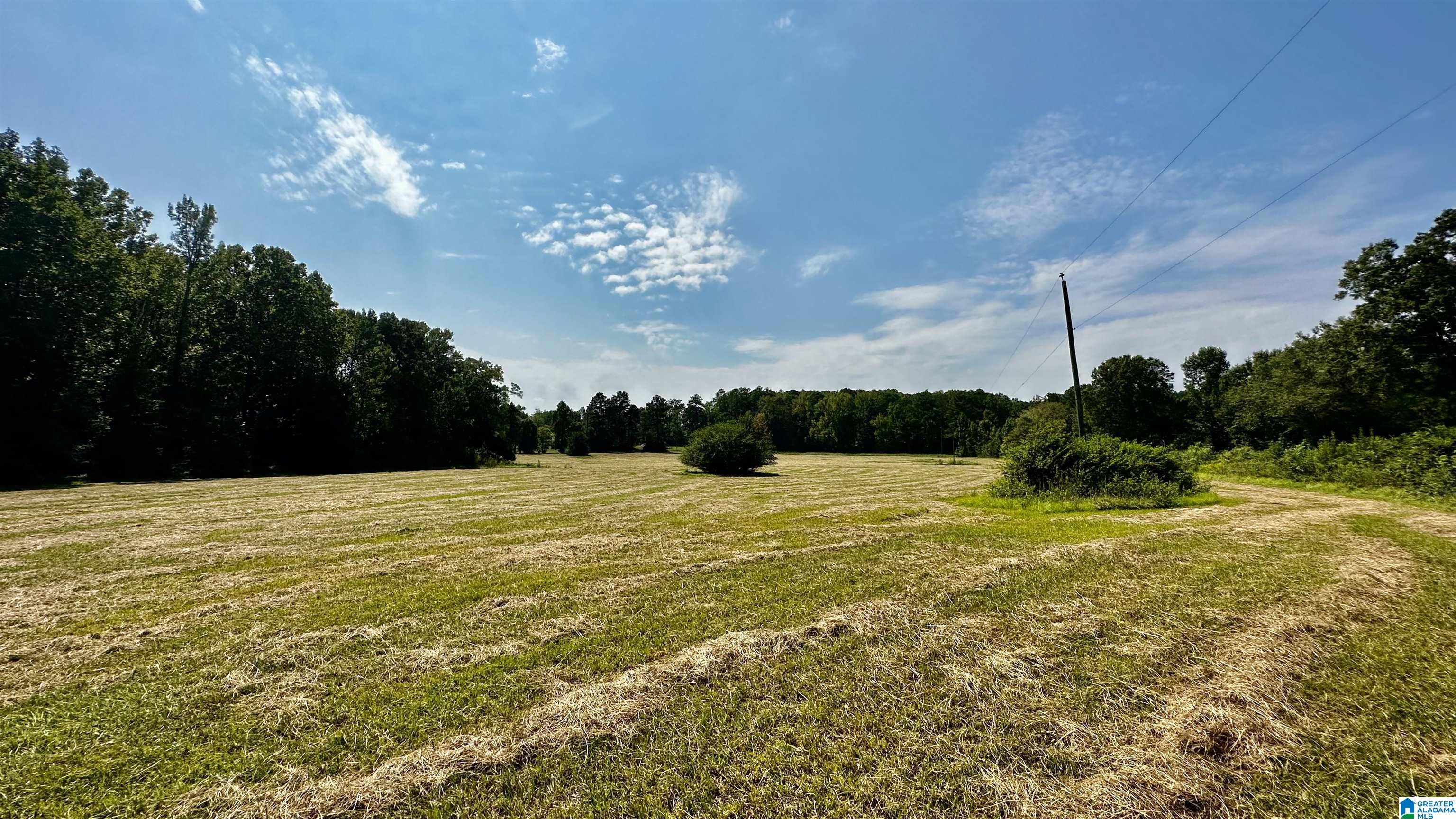 0 Rock School Road Harpersville, AL 35078 - Photo 12 of 15
