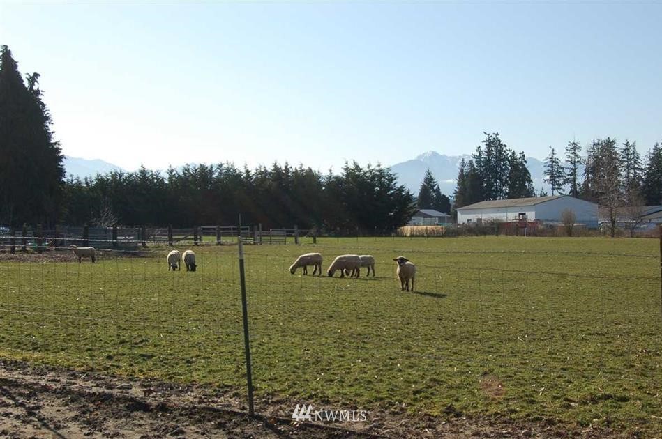 170 Runnion View Way Sequim, WA 98382 - Photo 14 of 38 Gallery Image 14