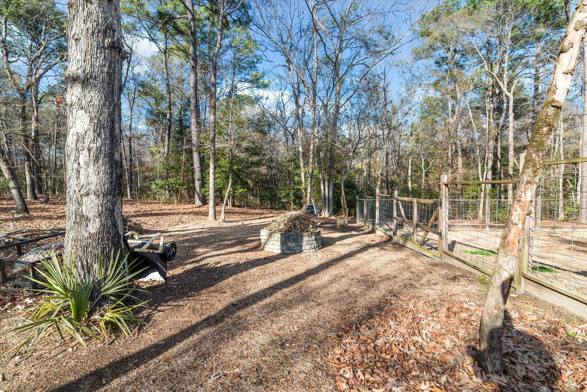 237 Camber Road Huger, SC 29450 - Photo 31 of 47 53-237 Camber_e_Lowcountry_Exposure-20