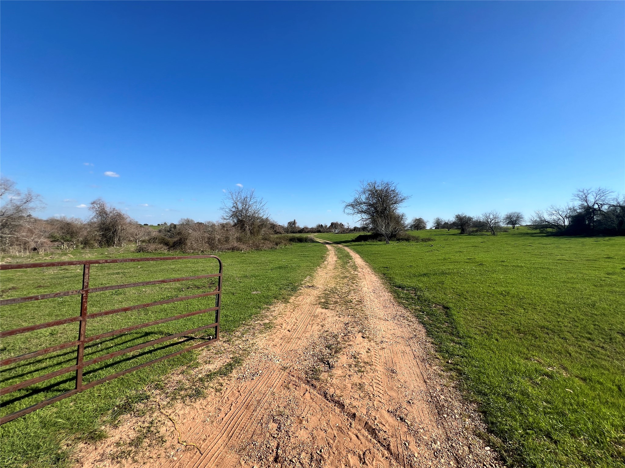 1 Blezinger Road New Ulm, TX 78950 - Photo 37 of 44 Gallery Image 37