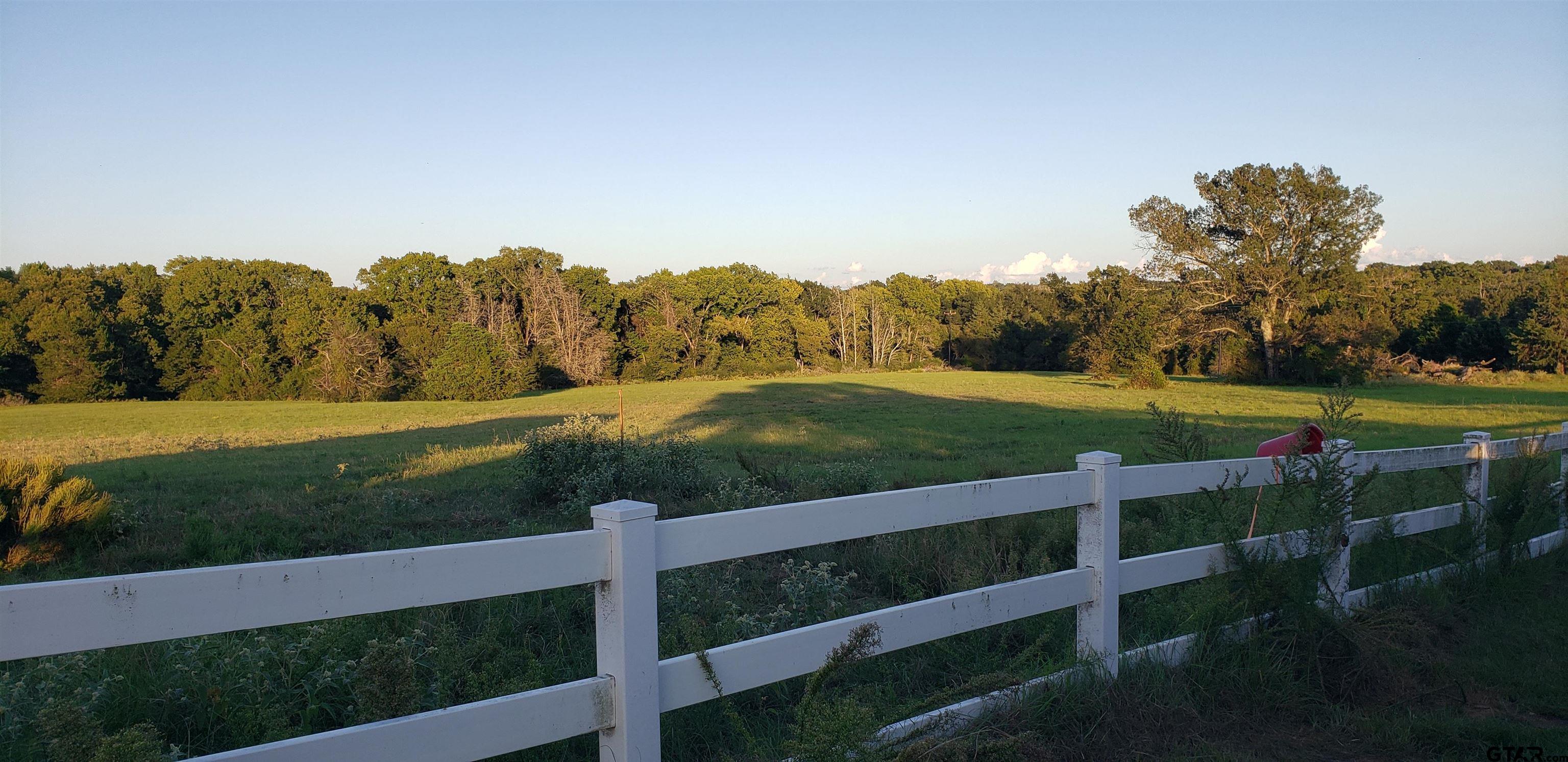 6820 Farm To Market Road 321 Tennessee Colony, TX 75861 - Photo 9 of 9 a view of a yard with an outdoor space