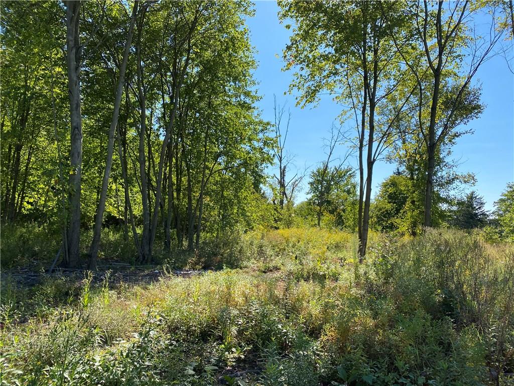 5.249-acres Anderson Hozak Road Clinton, PA 15026 - Photo 11 of 13 Gallery Image 11