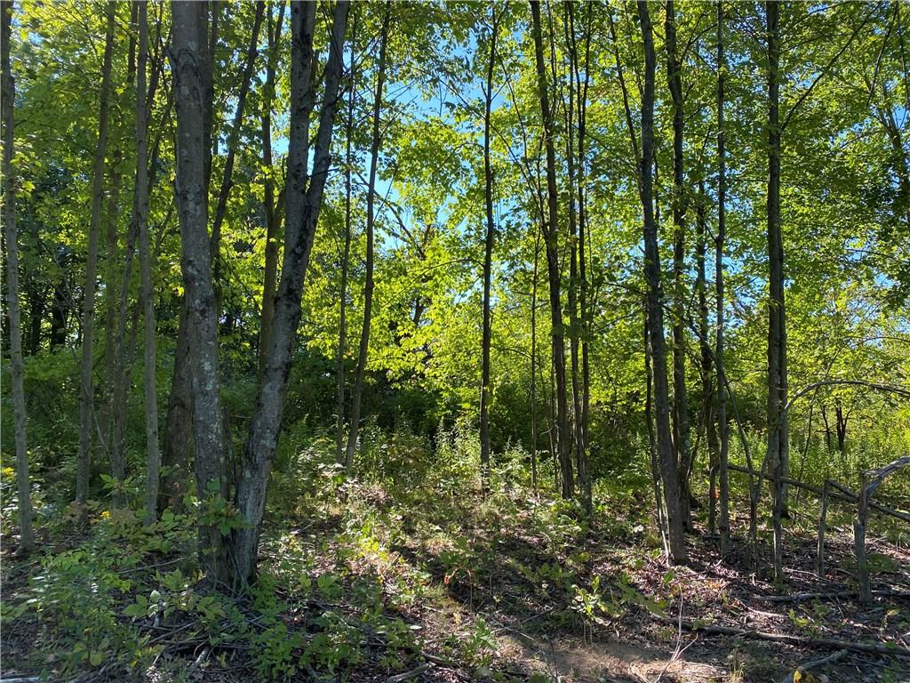 5.249-acres Anderson Hozak Road Clinton, PA 15026 - Photo 12 of 13 Gallery Image 12