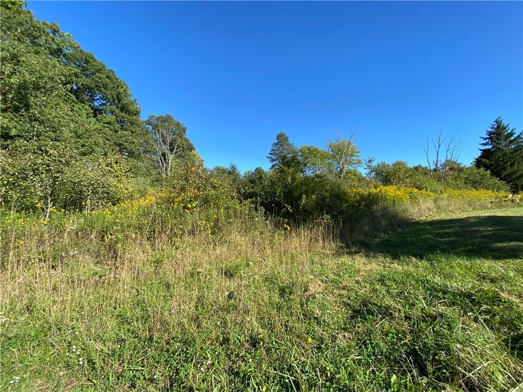 5.249-acres Anderson Hozak Road Clinton, PA 15026 - Photo 13 of 13 Gallery Image 13