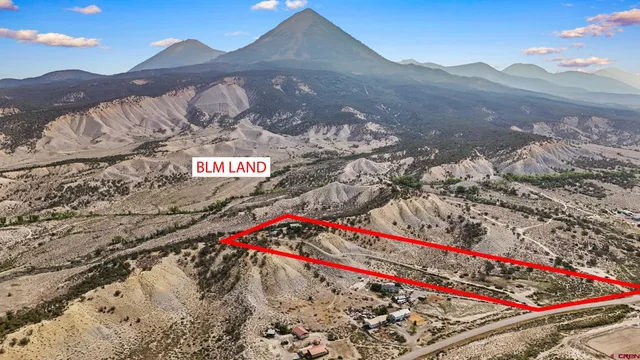a view of a backyard with plants and a lake view