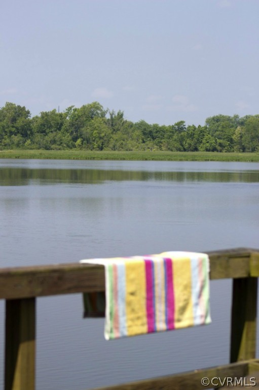 812 Shirley Plantation Road Charles City, VA 23030 - Photo 23 of 24 a view of lake