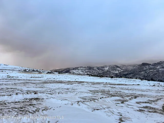 a view of a dry field with trees in the background